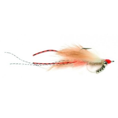 Keel (Avalon) Shrimp