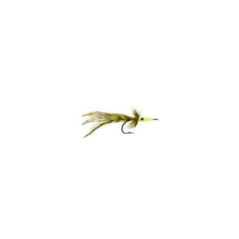 Tarpon Master Olive