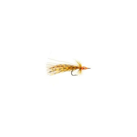 Tarpon Master Orange