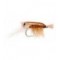 Ultra Shrimp Tan