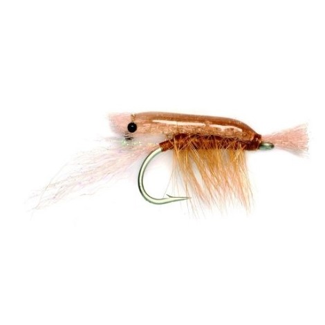 Ultra Shrimp Tan