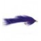 BH Zonker Violet Bright
