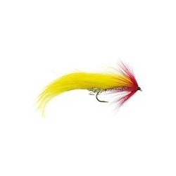 Yellow Red Zonker