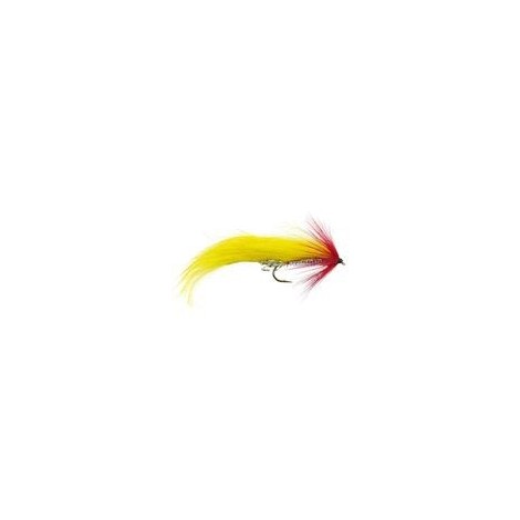 Yellow Red Zonker