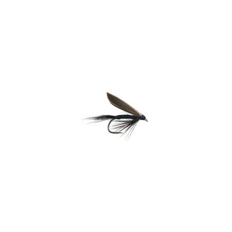 Black Gnat Wet