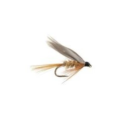 Gold Ribbed Hares Ear Wet